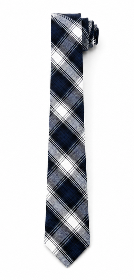 Navy/White Plaid Neck Tie