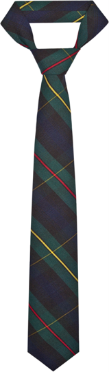 Green Plaid Traditional Neck Tie – 52"